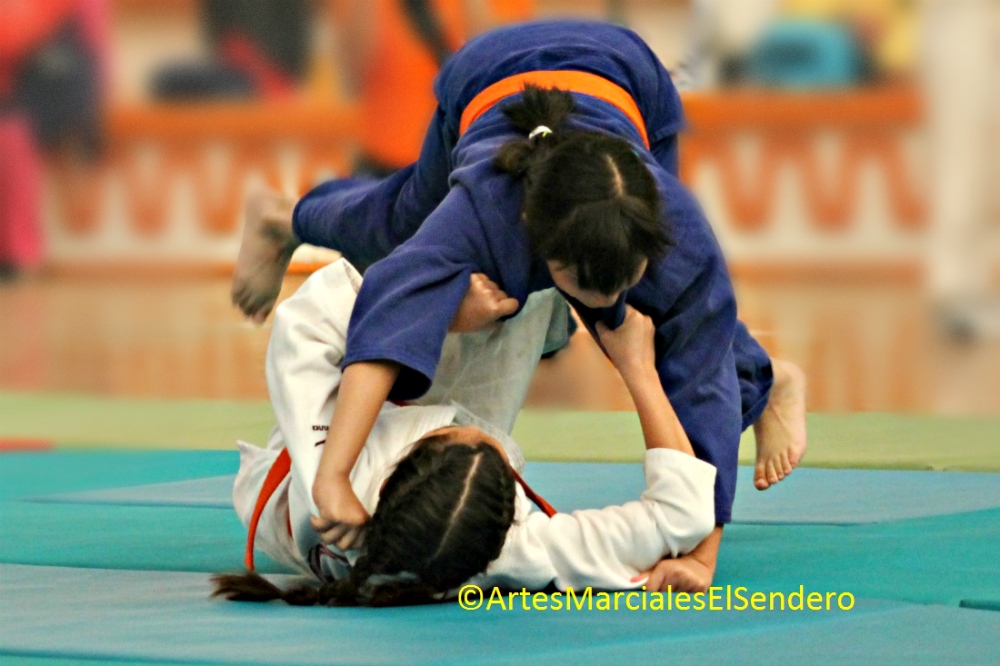 La Universidad Autónoma de Nuevo León (UANL) se coronó campeona en la especialidad de judo en la XXI Universiada Nacional 2017, tras conquistar un total de 323 puntos, mientras que la Universidad Autónima de Tlaxcala (UATx).