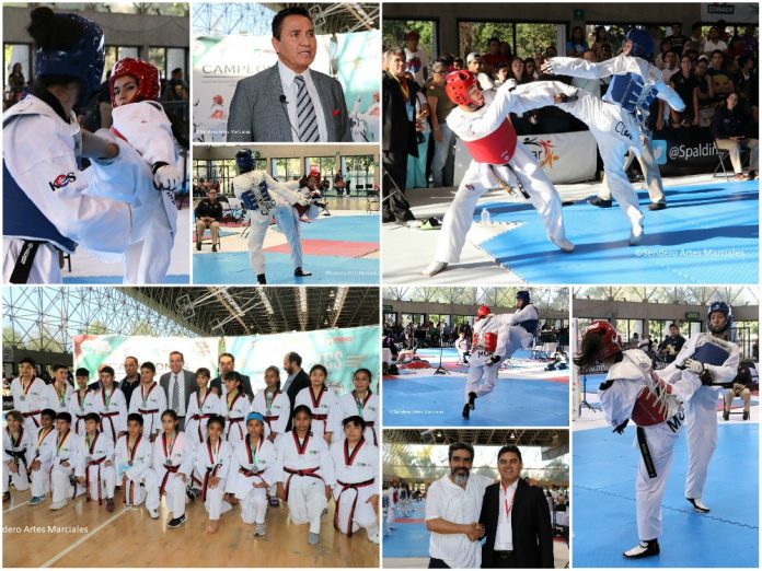 Una gran experiencia vivieron practicantes de taekwondo de más de una veintena de estados del país, al asistir a los torneos Selectivo Nacional Infantil, Preselectivo Nacional de Adultos y Campeonato Nacional Abierto Todos los Grados