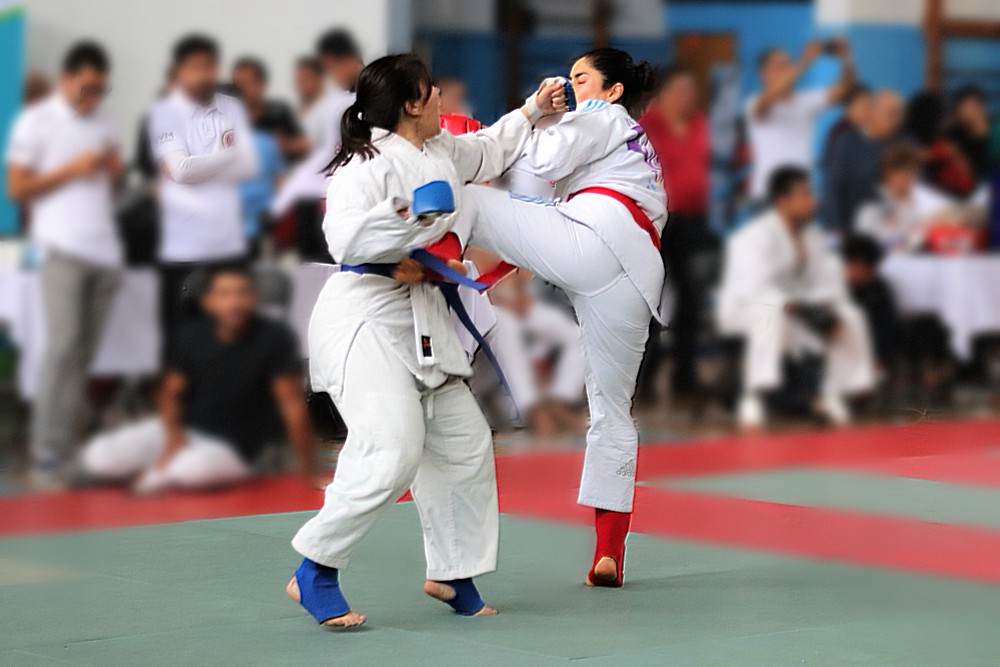 jiu jitsu fighting system