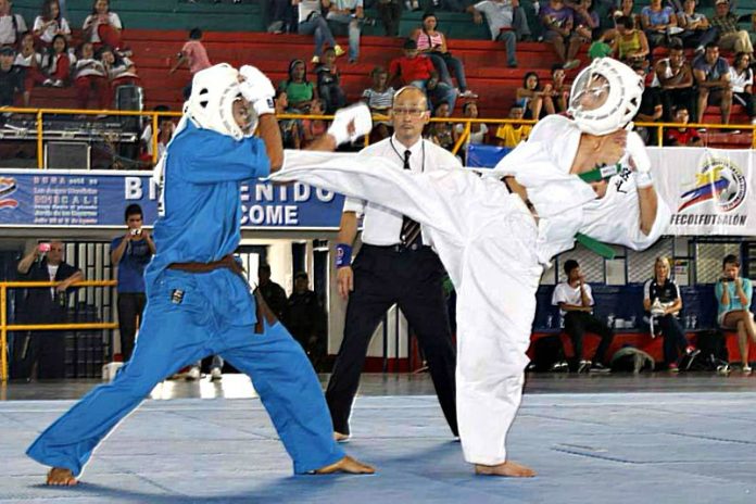 Kudo es un sistema japonés de combate de pie y sobre el piso, en el cual se aplican combinaciones de técnicas de defensa y golpeo de manos y pies, proyecciones, derribes y técnicas de sumisión, por lo cual ha sido catalogado como las artes marciales mixtas del oriente.