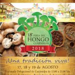 310808 feria hongos 067 (2)