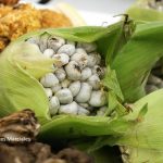 Hongos de recolección y cultivados comestibles.