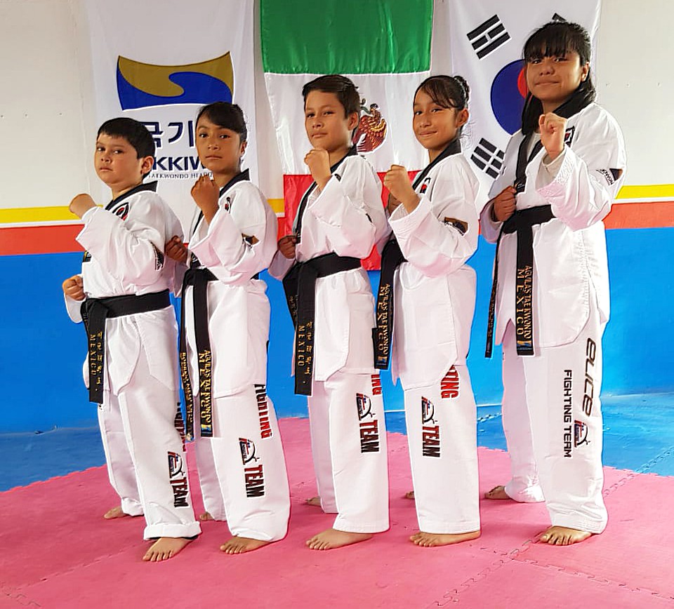 Equipo International Taekwondo Alliance México.