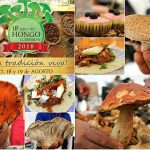 feria hongos pag