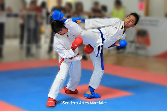 La AKCDMX anunció la próxima realización del 2º Selectivo-Juegos Deportivos Infantiles y Juveniles de la CDMX, donde podrán asistir practicantes de todas las categorías, grados y edades.