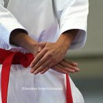 ©Sendero Artes Marciales Karate CDMX NOV 2018 (23)