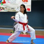 ©Sendero Artes Marciales Karate CDMX NOV 2018 (60)
