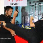 ©Sendero Artes Marciales Wing Chun CDMX (11)