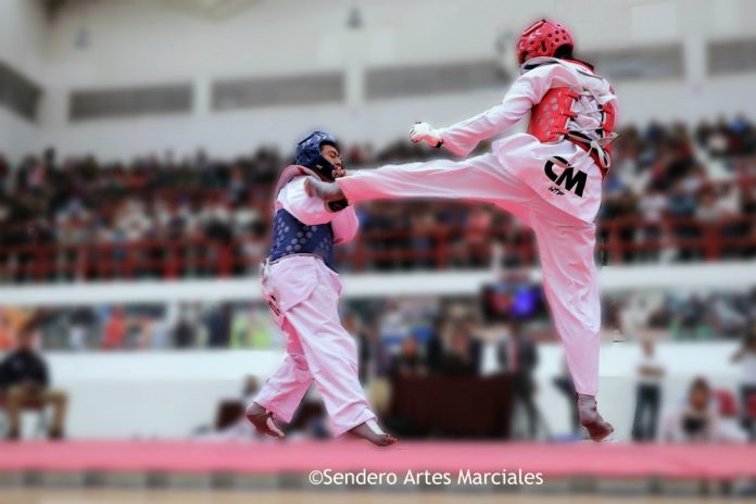 El año que está por terminar fue el inicio de grandes retos para la Asociación Capitalina de Taekwondo (ACTKD), la cual tuvo un cambio de dirigencia que implicó la reestructuración en diferentes campos y donde, a pesar de los augurios, sus integrantes lograron salir adelante.