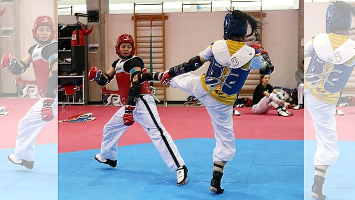 La triple medallista olímpica de taekwondo, María del Rosario Espinoza Espinoza, precisó que el 2019 será fundamental en su camino rumbo a los Juegos Olímpicos de Tokio 2020.