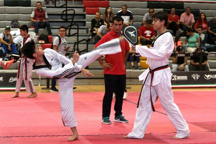 Fortalecer mentalmente a los integrantes de la Selección Mexicana de Taekwondo, así como conseguir que el equipo se encuentre unido para mejorar su sistema de competencia y que se coloquen dentro del top mundial, serán parte de los objetivos del medallista olímpico de esta disciplina, Guillermo Pérez Sandoval.