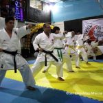 ©Sendero Artes Marciales Akari Karate Shotokan (11)