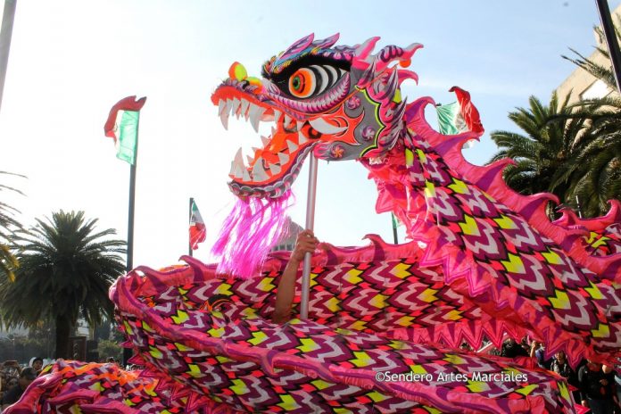 La alegría y energía de las artes marciales, dragones y leones chinos llegarán al Museo Nacional de las Culturas del Mundo (MNCM), en la Ciudad de México (CDMX), sede donde se festejará y dará la bienvenida al Año correspondiente al Cerdo o Jabalí de Tierra.