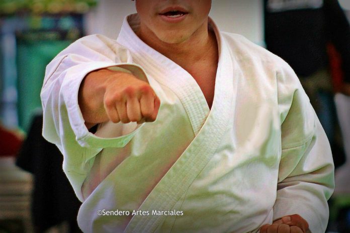 Luego de que se conociera que el karate quedaría fuera de Juegos Olímpicos París 2024, la Federación Mundial de Karate, decidió no cruzarse de brazos y lamentarse, por lo que inició una campaña internacional para mostrar la unidad de la disciplina para solicitar su inclusión a las máximas pruebas deportivas.