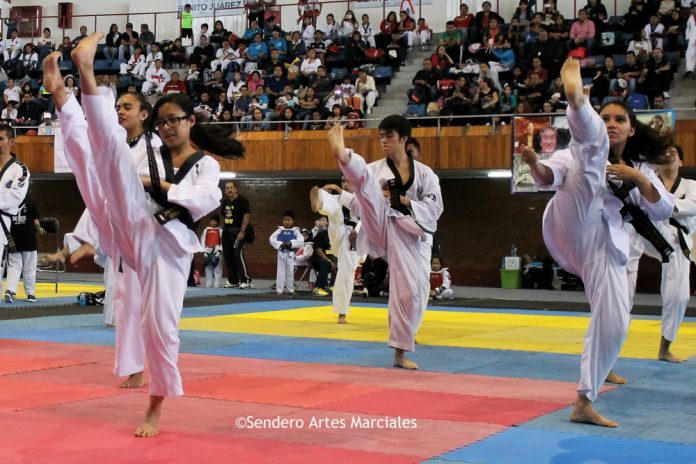 Fue anunciada la próxima XVIII Copa Meléndez Taekwondo Poomsae, el cual será un evento donde los competidores podrán demostrar su dominio y perfeccionamiento en la ejecución de formas tradicionales del arte marcial coreano.