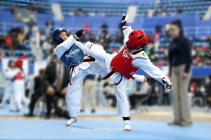 La selección de taekwondo de la Ciudad de México ha subido de nivel para destacar en los próximos torneos regionales rumbo a Olimpiada nacional y Nacional Juvenil, así como para el próximo México Open CDMX.
