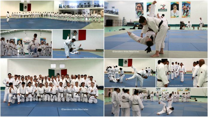 Con una asistencia de cerca de 40 practicantes de judo que aspiran a obtener su Cinta Negra u obtener un grado Dan en este arte marcial, se llevó con éxito la primera Clínica de Grados 2019.