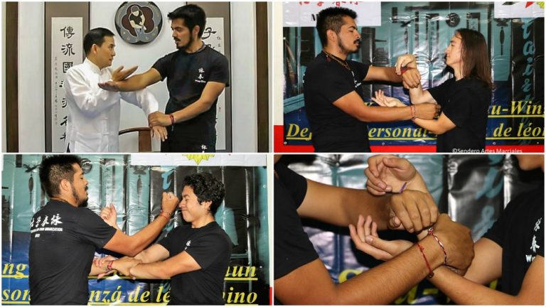 Seminario de Wing Chun, del linaje de Ip Man, en la CDMX