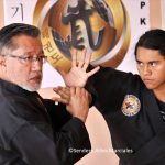 ©Sendero Artes Marciales Seminario Hapkido Miguel A Serrano (24)
