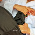 ©Sendero Artes Marciales Seminario Hapkido Miguel A Serrano (39)