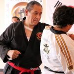 ©Sendero Artes Marciales Seminario Hapkido Miguel A Serrano (8)
