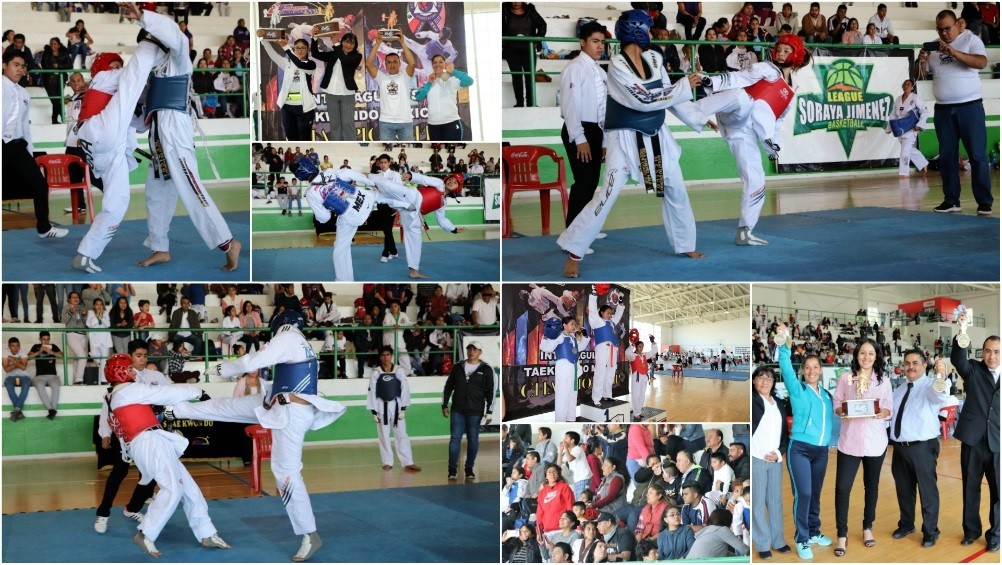 Tras intenso torneo Inter Águila's Taekwondo México Championship, listo  equipo para Open La Habana | Sendero Artes Marciales