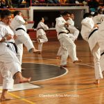 ©Sendero Artes Marciales Seminario Sensei Okuma (14)