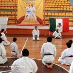 ©Sendero Artes Marciales Seminario Sensei Okuma (19)