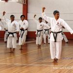 ©Sendero Artes Marciales Seminario Sensei Okuma (2)