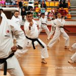 ©Sendero Artes Marciales Seminario Sensei Okuma (22)
