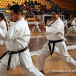 ©Sendero Artes Marciales Seminario Sensei Okuma (7)