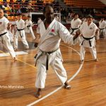©Sendero Artes Marciales Seminario Sensei Okuma (9)