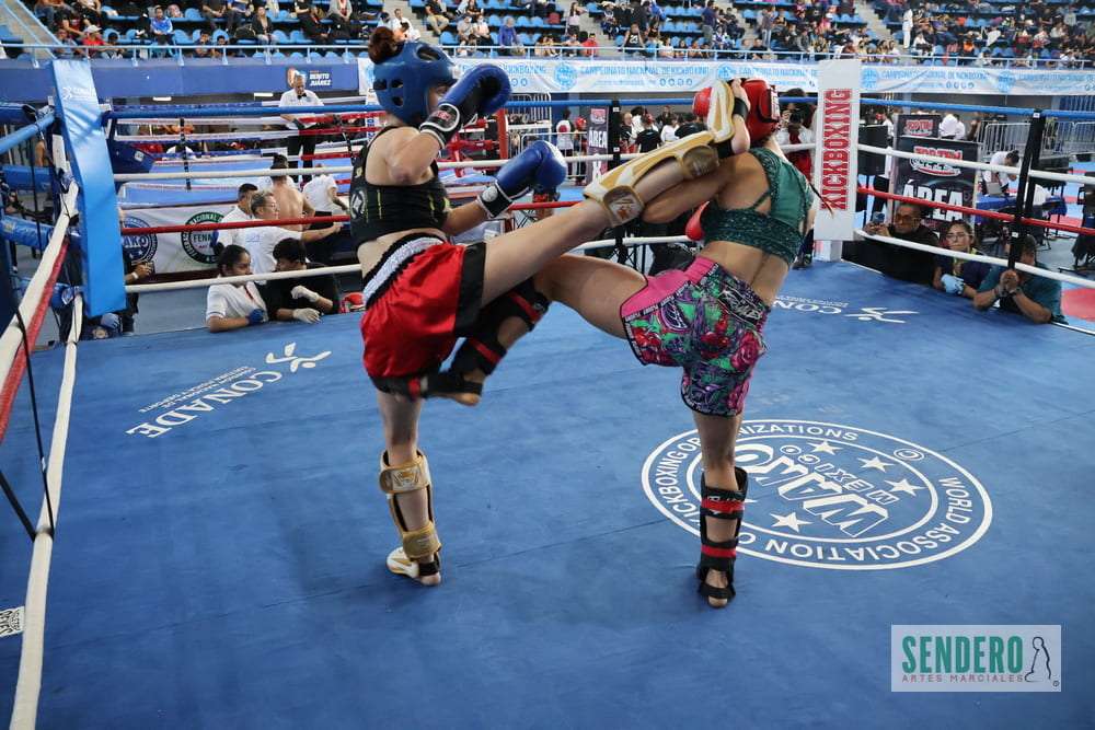Campeonato Mundial de Kickboxing Infantil, Cadetes & Juniors 2022, Mexicanos  ganan 19 medallas - Artes Marciales