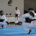 La potencia del Nippon Kempo estremeció el Gimnasio “Cuauhtémoc” del Deportivo Plan Sexenal (10)