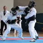 La potencia del Nippon Kempo estremeció el Gimnasio “Cuauhtémoc” del Deportivo Plan Sexenal (18)
