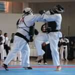 La potencia del Nippon Kempo estremeció el Gimnasio “Cuauhtémoc” del Deportivo Plan Sexenal (19)