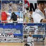 Superó expectativas XXV Seminario Internacional JKA con Shihan Tatsuya Naka