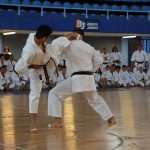 Superó expectativas XXV Seminario Internacional JKA con Shihan Tatsuya Naka (21)