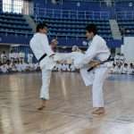Superó expectativas XXV Seminario Internacional JKA con Shihan Tatsuya Naka (23)