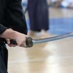Superó expectativas XXV Seminario Internacional JKA con Shihan Tatsuya Naka (29)
