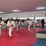 Con clases de artes marciales se celebró Día Internacional del Deporte por el Desarrollo y la Paz (17)