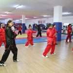 Con clases de artes marciales se celebró Día Internacional del Deporte por el Desarrollo y la Paz (19)