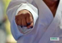 Ikigai en el Dojo: Cómo las Artes Marciales definen tu Propósito de Vida Ikigai en el Dojo Cómo las Artes Marciales definen tu Propósito de Vida