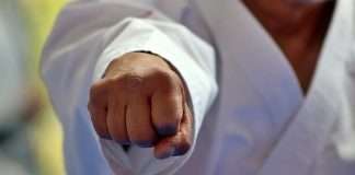 Ikigai en el Dojo: Cómo las Artes Marciales definen tu Propósito de Vida Ikigai en el Dojo Cómo las Artes Marciales definen tu Propósito de Vida