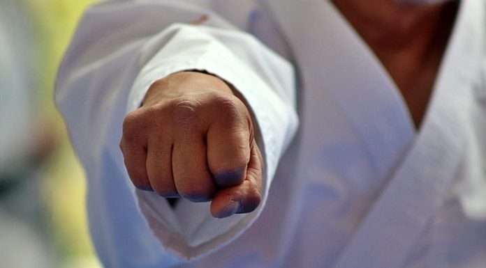 Ikigai en el Dojo: Cómo las Artes Marciales definen tu Propósito de Vida Ikigai en el Dojo Cómo las Artes Marciales definen tu Propósito de Vida