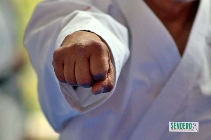 Ikigai en el Dojo Cómo las Artes Marciales definen tu Propósito de Vida