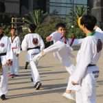 Exitosa y fraternal Mega Clase de Taichi 2024 en el Monumento a la Revolución (10)