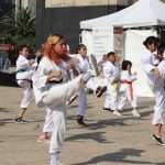 Exitosa y fraternal Mega Clase de Taichi 2024 en el Monumento a la Revolución (27)