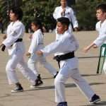 Exitosa y fraternal Mega Clase de Taichi 2024 en el Monumento a la Revolución (28)