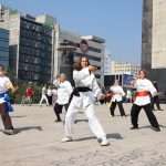 Exitosa y fraternal Mega Clase de Taichi 2024 en el Monumento a la Revolución (41)